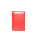 PORTAPASAPORTE